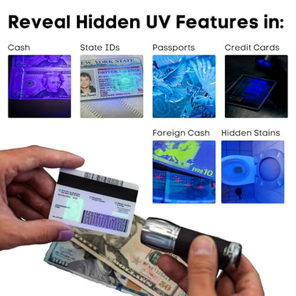 Dri Mark UVPro Proprietary Ultraviolet Flashlight Document Fraud & International Counterfeit Money Detection - Detects Pet Urine, Stains & Cleanliness - Loss & Fraud Protection Batteries + Coil/Holder