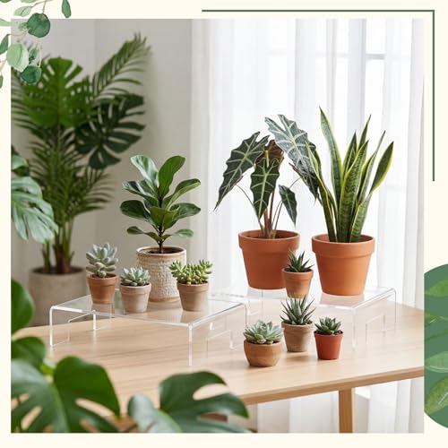RattanView 2 Pcs 12 x 8 x 3 Inch Large Clear Acrylic Shelf Riser, 5mm Thick - color: Clear, size: 12 x 8 x 3 Inch, 5 mm