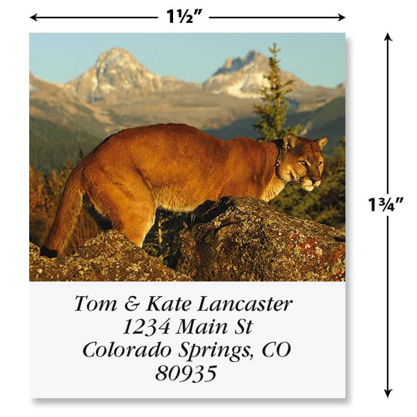 North American Wildlife Square Return Address Labels (12 Designs) - Set of 144 1-1/8" x 2-1/4" Self-Adhesive, Flat-Sheet Label - style: Wildlife Square
