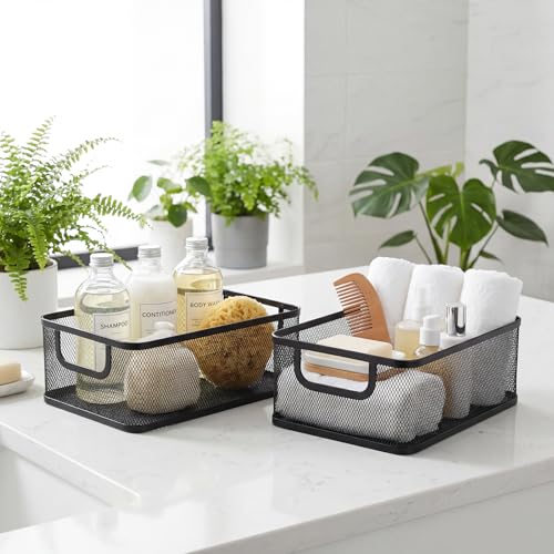 2 Pack Metal Mesh Basket, Large Wire Steel Storage Organizer