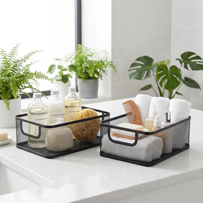 2 Pack Metal Mesh Basket, Large Wire Steel Storage Organizer