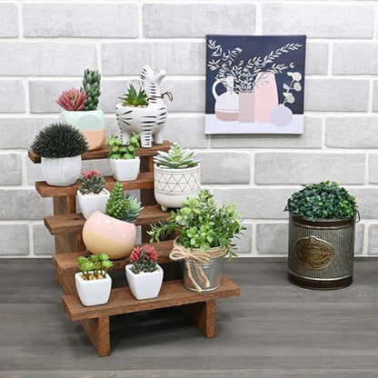 Ikee Design 5-Tier Wooden Display Stand for Plants & Collectibles