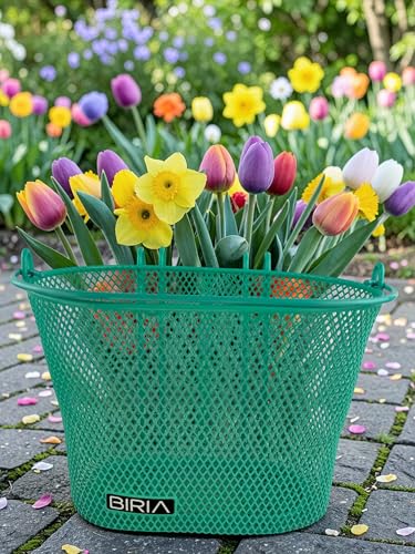 Basket with Hooks, Front, Removable, Wire mesh Small, Kids Bicycle Basket - color: Green