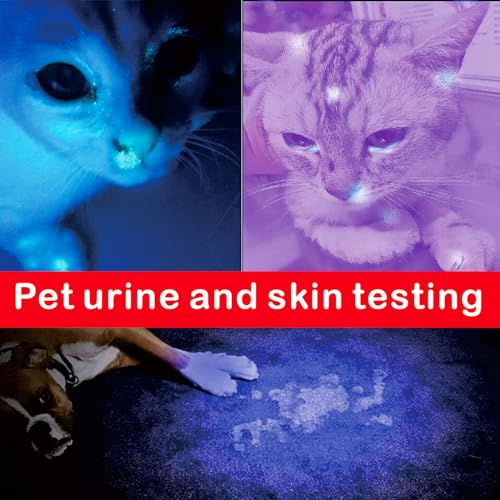 Black Light, 365nm UV Flashlight, Portable LED Flashlight, Mini Light for Pet Urine Detection, Handheld UV Flashlight for Resin Pet Urine Nails Money Pack of 2