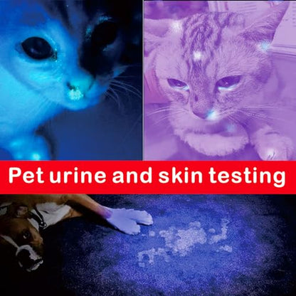 Black Light, 365nm UV Flashlight, Portable LED Flashlight, Mini Light for Pet Urine Detection, Handheld UV Flashlight for Resin Pet Urine Nails Money Pack of 2