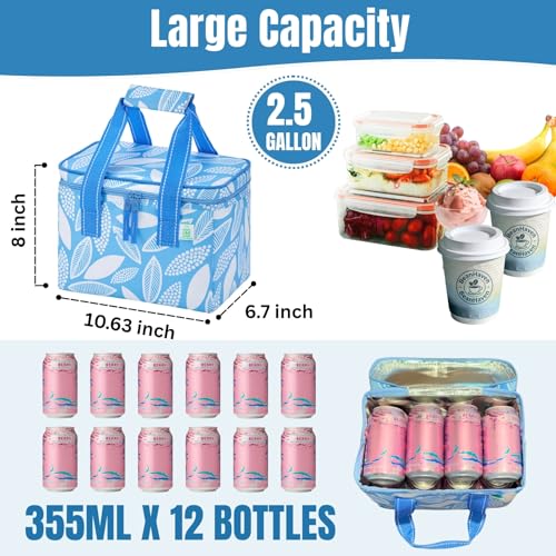 VENO 2 Pack Insulated Lunch Bags, 12 Can, Water-Resistant, Spring Breeze - color: Spring Breeze, size: 10.63"W x 8"H x 6.7"D - 2 Pack