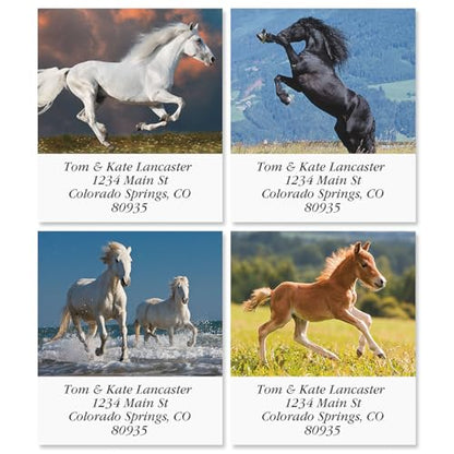 Love Horses Square Return Address Labels (6 Designs) - Set of 144 1-1/8" x 2-1/4" Self-Adhesive, Flat-Sheet Label - style: Love Horses