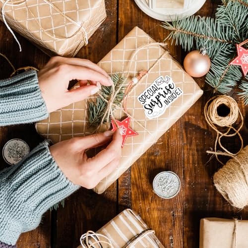 Special Surprise Inside Stickers, Funny Online Retailers Order Gifts Mailbox Paster, Coke Bag Packaging and Thank You Small Business and Other Purpose 1.7" L x 1.2" H 500 PCS - style: Special Surprise Inside Stickers