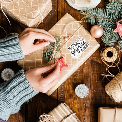Special Surprise Inside Stickers, Funny Online Retailers Order Gifts Mailbox Paster, Coke Bag Packaging and Thank You Small Business and Other Purpose 1.7" L x 1.2" H 500 PCS - style: Special Surprise Inside Stickers