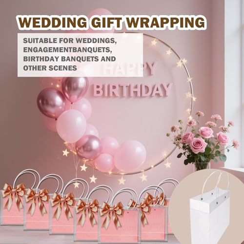 Paidiem Plastic Gift Bags with Handles, Frosted Party Gift Bags Reusable Clear Bag for Party Favors Baby Wedding Birthday (Clear-8 Pack) - color: Clear-8 Pack