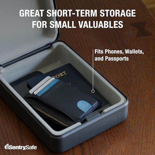 SentrySafe Mini Safe is a Lock Box with Key Lock for Office or Dorm that Secures Money, Passports, or Other Small Valuables, Exterior: 2.6 H x 5.9 W x 8.0 inches, P005K - style: Key Lock
