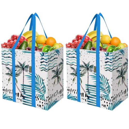 BALEINE 2 PK Grocery Bags Reusable Shopping Bags with Reinforced Bottom, Heavy Duty Foldable Tote Bags (Island Breeze) - color: Island Breeze, size: 2 PK