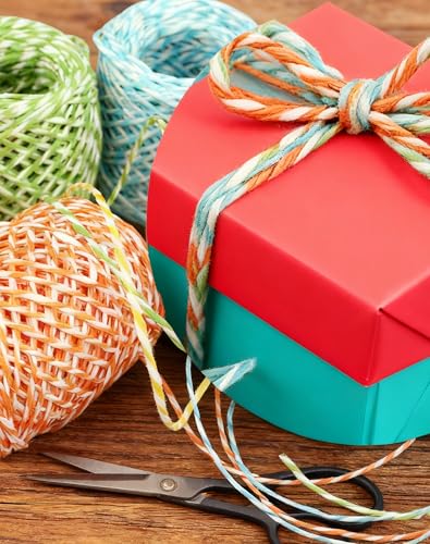 LJY 9 Rolls Raffia Paper Twine, 9 Colors, 32.8 yd Each for Gift Wrapping