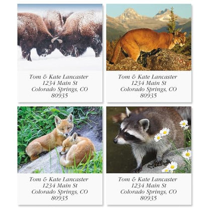 North American Wildlife Square Return Address Labels (12 Designs) - Set of 144 1-1/8" x 2-1/4" Self-Adhesive, Flat-Sheet Label - style: Wildlife Square