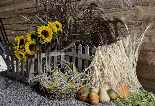 SuperMoss (30111 Raffia, Black, 2oz - color: Black, size: 2 oz (108 cu in)