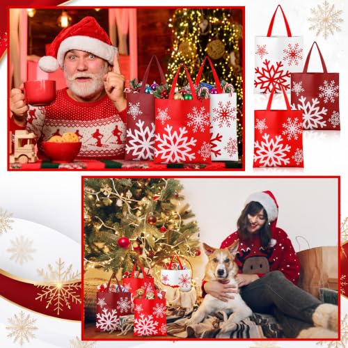 Hosuly 15 Pcs Large Christmas Snowflake Gift Bags 15 x 17 Inch Winter Wonderland Tote Reusable Frozen Jumbo Bags with Handle for Winter Party Favor Supply - style: Christmas Snowflake