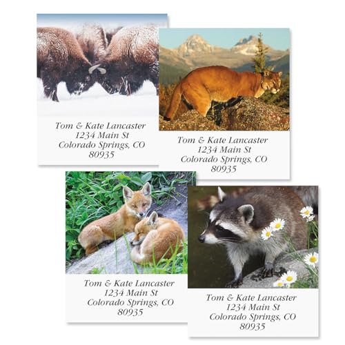 North American Wildlife Square Return Address Labels (12 Designs) - Set of 144 1-1/8" x 2-1/4" Self-Adhesive, Flat-Sheet Label - style: Wildlife Square