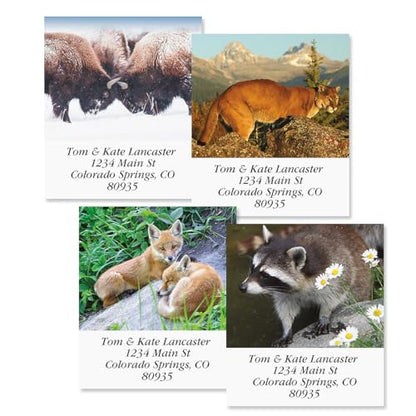 North American Wildlife Square Return Address Labels (12 Designs) - Set of 144 1-1/8" x 2-1/4" Self-Adhesive, Flat-Sheet Label - style: Wildlife Square