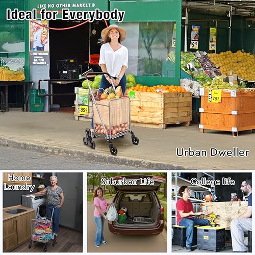 dbest Products Stair Climber Cruiser Cart Shopping Grocery Rolling Folding Laundry Basket on Wheels Foldable Utility Trolley Compact Lightweight Collapsible, Silver - color: Silver, style: Stair Climber