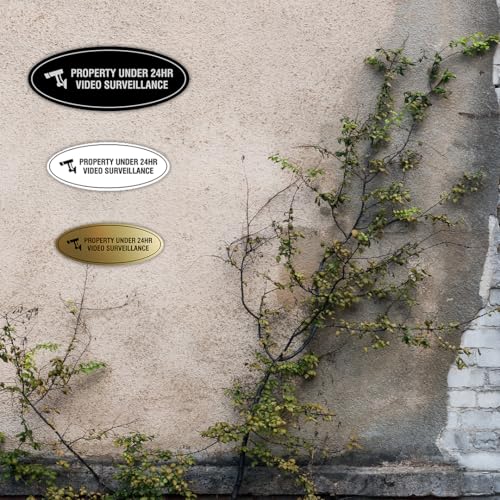 Oval PROPERTY UNDER 24HR VIDEO SURVEILLANCE Sign - Lt Gray - Small (1 Pack) - color: Lt Gray, size: 2" x 5" - Small (1 Pack)