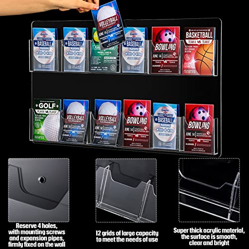 Eersida Acrylic Brochure Pamphlet Holder Brochure Display Stand, 12 Pockets - style: 12 Pockets