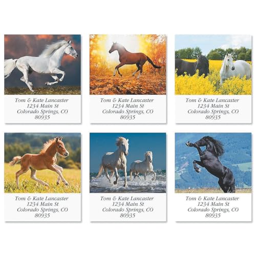Love Horses Square Return Address Labels (6 Designs) - Set of 144 1-1/8" x 2-1/4" Self-Adhesive, Flat-Sheet Label - style: Love Horses