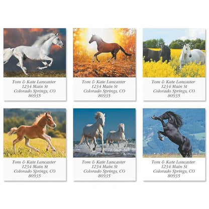 Love Horses Square Return Address Labels (6 Designs) - Set of 144 1-1/8" x 2-1/4" Self-Adhesive, Flat-Sheet Label - style: Love Horses