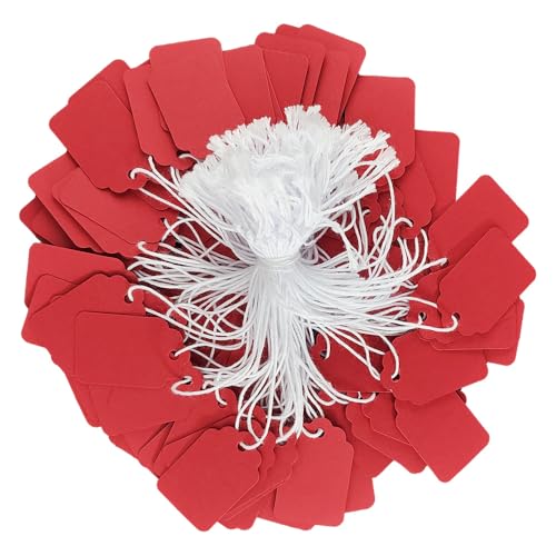 300 Pcs 1.38x0.87 Inches Red Blank Jewelry Price Tags with String Attached Retail Paper Gift and Sale Hang Tag Handwritten Price Display Lables for Pricing Clothes Necklace & Merchandise - color: Red, size: 1.38x0.87 inches-300P