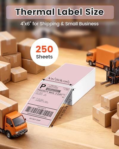 Phomemo 4x6 Thermal Shipping Label Pink, Commercial Grade, 250 Sheets/Stack - color: Pink-250