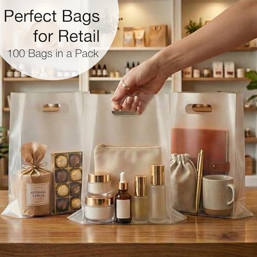 100 Frosted Clear Plastic Bags With Handles 9x12 Merchandise Bags - color: Frosted Clear
