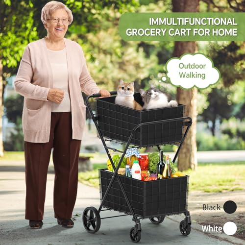 JIALIJIU 2-Tier Shopping Cart for Groceries with 360° Rolling Wheels - size: Jumbo-Black 2 Tier