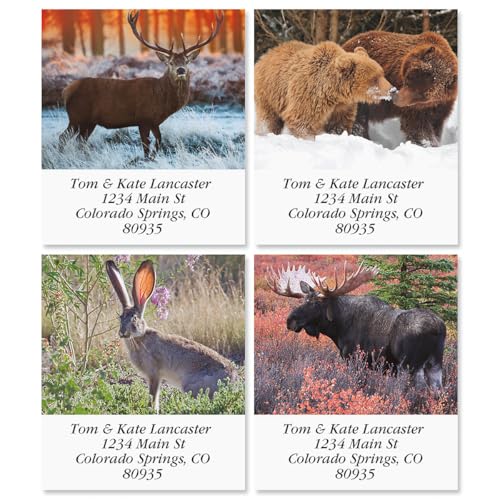 North American Wildlife Square Return Address Labels (12 Designs) - Set of 144 1-1/8" x 2-1/4" Self-Adhesive, Flat-Sheet Label - style: Wildlife Square