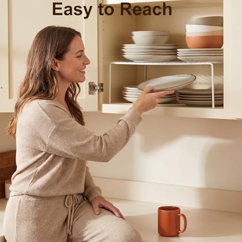 iPEGTOP Large (15.7 x 9.4 Inch) Kitchen Freezer Cabinet Storage Shelf, Set of 4 Rustproof Metal Wire Shelves Spice Shelf Rack Cupboard Organizer for Fridge Pantries Countertops Utensils, White - color: White(set of 4)
