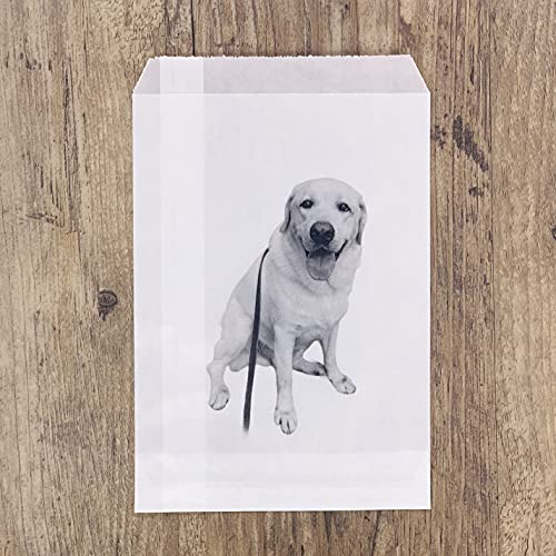 Quotidian White Glassine Paper Bags Envelope 5 1/2x7 3/4 in, 100 Count - size: 5 ½x7 ¾ Inch