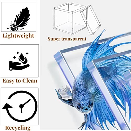KissYou Acrylic Box Large Clear Display Boxes with Lid Transparent Square Cube Acrylic Storage Box for Wedding Graduatio Party Decorations - size: 3.94 x 3.94 x 3.94 Inch