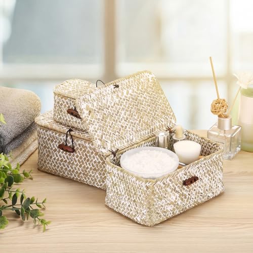 Hipiwe Wicker Shelf Basket Box Mini Seagrass Baskets with Lid,6.1"x4"x3.3" - color: Whitewash color, size: 6.1" x 4" x 3.3"