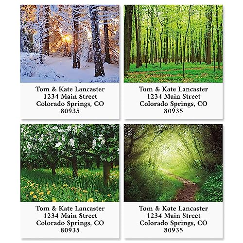 Into the Trees Square Return Address Labels (6 Designs) - Set of 144 1-1/8" x 2-1/4" Self-Adhesive, Flat-Sheet Label - style: Trees