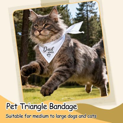 Dog Engagement Necktie for Meddium Large Puppy Dogs Necktie for Wedding Bridal Shower Gift for Dog Owner - color: Black