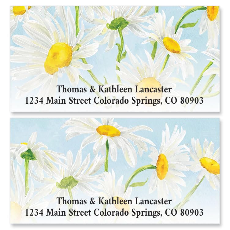 Fields of Daisies Personalized Deluxe Address Labels - Set of 144, Self-Adhesive, Large Flat-Sheet Deluxe Labels - color: Fields of Daisies