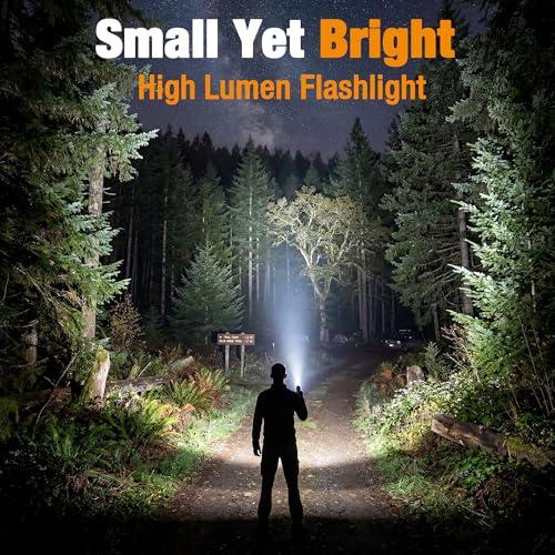 EverBrite Mini Flashlight, Zoomable LED Flash Light, 3 Modes, 3AAA Batteries Included, Handheld Small Flashlight for Camping, Emergency, Home, Grey (Pack of 2) - color: Gray, size: Small (Pack of 2)